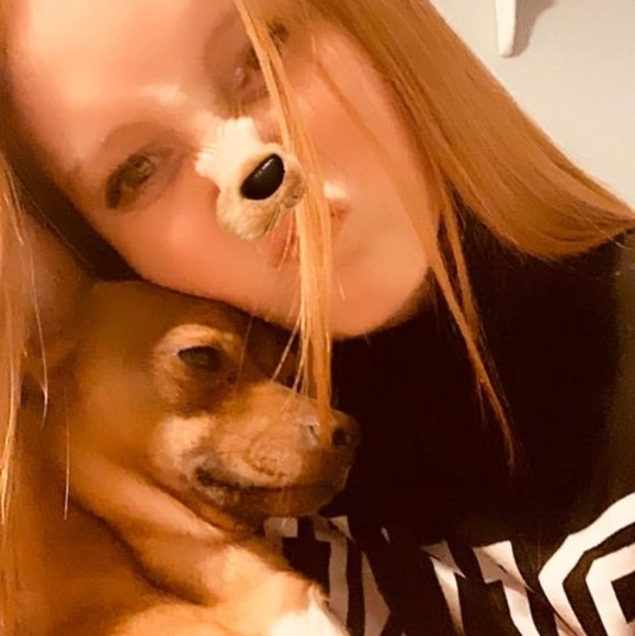 Meet your Posher, Lexi - Picture 1 of 1